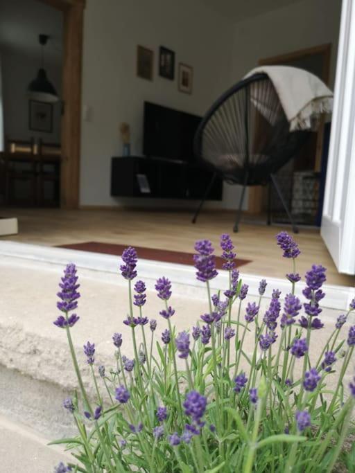 Ferienwohnung Zur Parthe Grimma Exteriér fotografie